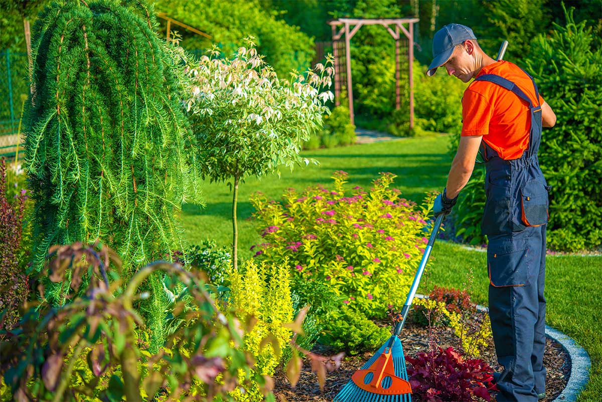 Why You Should Use Gardening Services