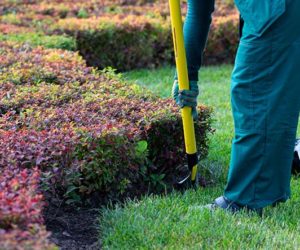 The benefits of grounds maintenance for your business