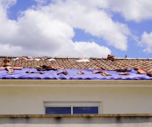 What common problems can a roof repair company fix?